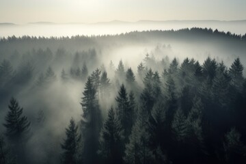 pine forest in the mountains, blanketed in morning mist. The trees rise tall and straight, with their branches covered in needles that are tinged with dew Generative AI