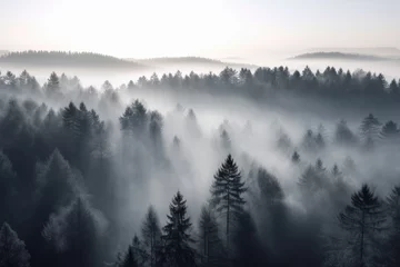 Crédence de cuisine en verre imprimé Forêt dans le brouillard pine forest in the mountains, blanketed in morning mist. The trees rise tall and straight, with their branches covered in needles that are tinged with dew Generative AI
