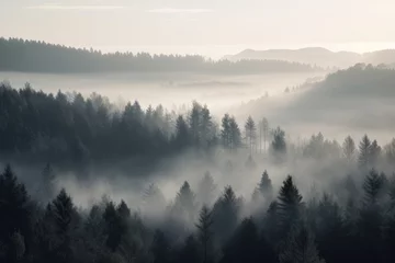 Afwasbaar Fotobehang Mistig bos pine forest in the mountains, blanketed in morning mist. The trees rise tall and straight, with their branches covered in needles that are tinged with dew Generative AI