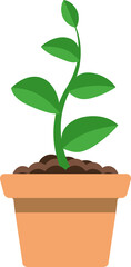Illustration plant in a pot. Potted Plant Botanical Design Illustration. gardening illustration. 