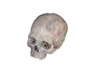 Old realistic human skull isolated