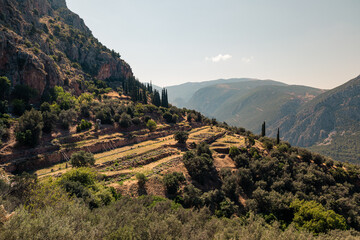 Obraz premium Delphi, Grece - July 15, 2020 - Landscape of archaeological site of Delphi