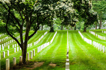 Tombstones in Arlington National Cemetery, Washington DC
