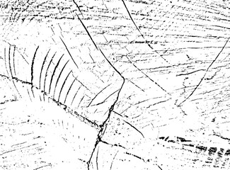 Vector grunge texture of poplar tree cross section with cracks. Monochrome background of an old damaged log. Template for texture overlay, stencil in grunge style. Design element