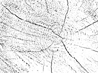 Vector grunge texture of a cross section of a pine tree with cracks. Monochrome background of an old damaged log. Template for texture overlay, stencil in grunge style. Design element