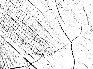Vector grunge texture of a cross section of a cracked linden tree. Monochrome background of an old damaged log. Template for texture overlay, stencil in grunge style. Design element