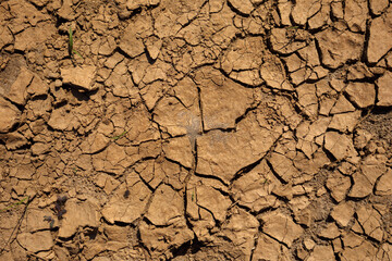 Dry Cracked Soil Texture Background