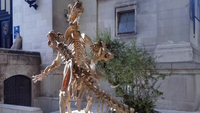 Smilodon Fatalis (Saber-toothed Cats) Skeletons at the Entrance of the Bernardino Rivadavia Natural Sciences Museum, Buenos Aires, Argentina.