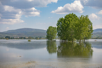 Fototapeta premium Agricultural fields and trees flooded after a heavy rain in Turkey.