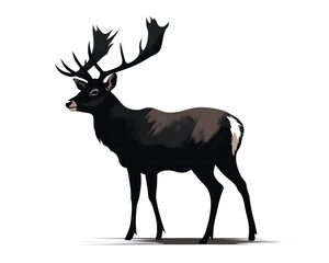 Deer with antlers. Vector illustration isolated on white background.