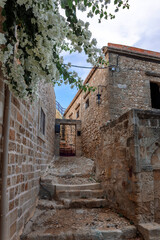 Fototapeta na wymiar Street view of old town of Rhodes, Greece. Paved roads and pavements with colorful houses and fragrant flowers.