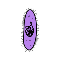 bacteria illustration