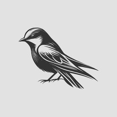 swallow bird illustration vector. retro bird style illustration. bird vector illustration.