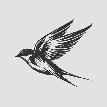 swallow bird illustration vector. retro bird style illustration. bird vector illustration.