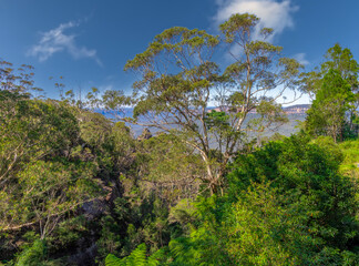 Obraz premium View of Echo Point Blue Mountains three sisters Katoomba Sydney NSW Australia