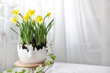 yellow daffodil narcissus flowers in white vase on wooden stand sunny day white background backlight Easter  flowers copy space white table