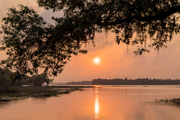 An orange sunrise over Lake Hernando in Florida with the silhouette of a branch with leaves.