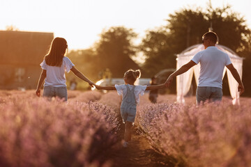 happy family day. young father, mother and child daughter are having fun together in the lavender...
