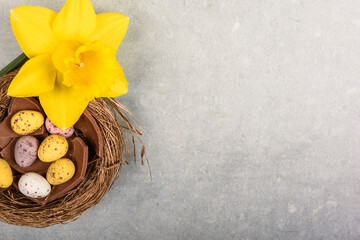 Easter background on stone table top view with chocolate Easter egg and daffodil flower over traditional easter nest