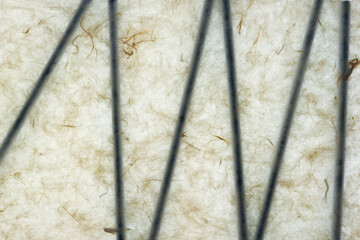 black plastic straws behind backlit tissue paper with fiber texture - variable focus, soft focus