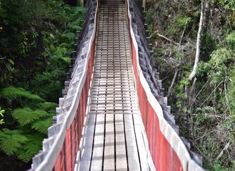 Parque Nacional Puyehue