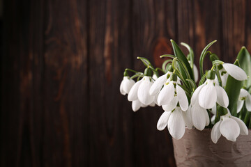 Beautiful snowdrops in vase against wooden wall, closeup. Space for text