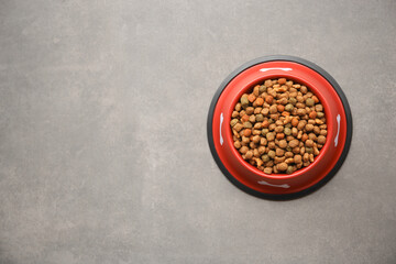Dry dog food in feeding bowl on beige floor, top view. Space for text