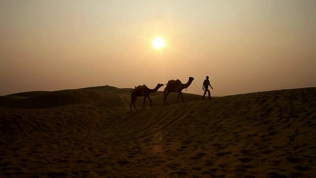 Native walking with camels across the desert at sunset
