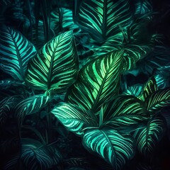 Naklejka na ściany i meble tropical leaf forest glow in the dark background. High contrast