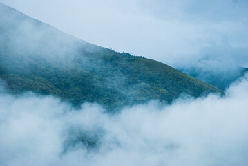 Bosque de nubes en montañas en los alrededores Machupichu y Aguas calientes.