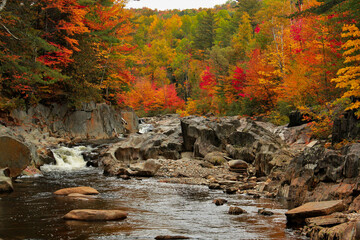 waterfall in autumn forest