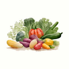 Fototapeta na wymiar Vector Watercolor vegetables background