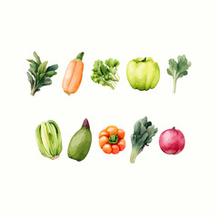 collection of vegetables vector in watercolor style 