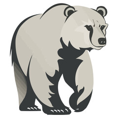 Bear grizzly vector