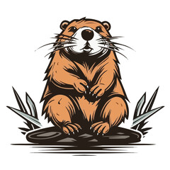 Beaver vector
