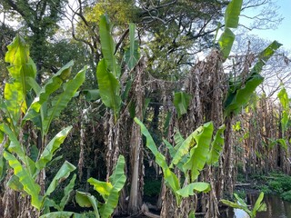 公園の様子