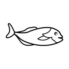 fish, icon, vector, illustration, desing, logo, teplate, flat,style