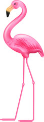 Pink Flamingo bird summer decoration element, PNG file no background