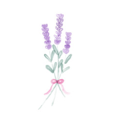 Water color purple lavender bouquet on transparent background