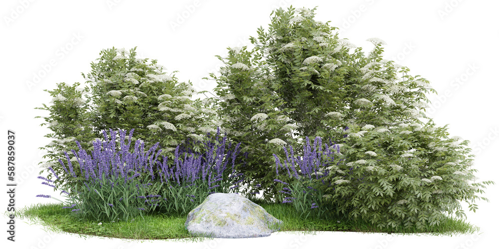 Poster group of tree isolated on transparent background 3d rendering png