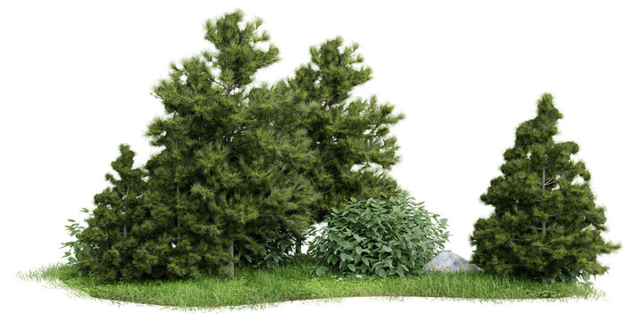 Group of tree isolated on transparent background 3d rendering png