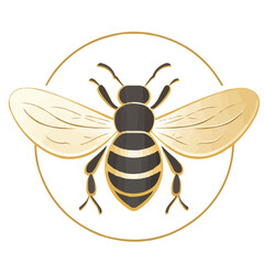 Obraz premium Bee vector