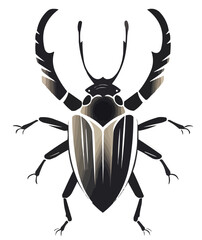 Beetle vector