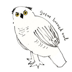 シンプルな手描きの線画、かわいいフクロウの挿絵、ミニマリストさん、