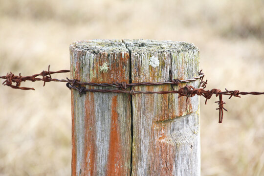 rusty barbed wire
