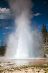 Fototapeta na wymiar Yellowstone Thermal Features