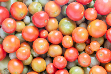 Fototapeta na wymiar Pink and green cherry tomatoes lie in bowl.