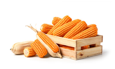 Dried corn cob in wooden crate isolated on white background. Clipping path.