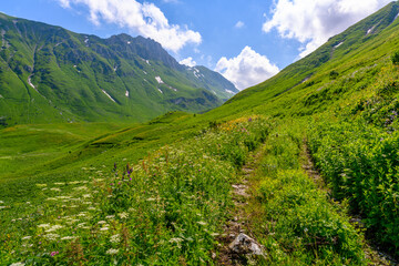Naklejka na ściany i meble The country rocky road in the tropical mountains. The alpine mountains and meadows.