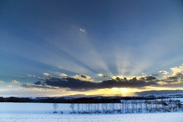 日没間近の光芒（美瑛町）